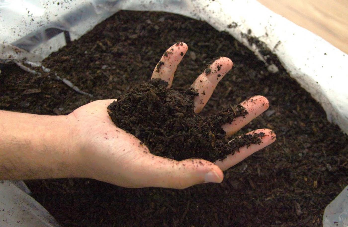 mãos com terra em composteira #paratodosverem