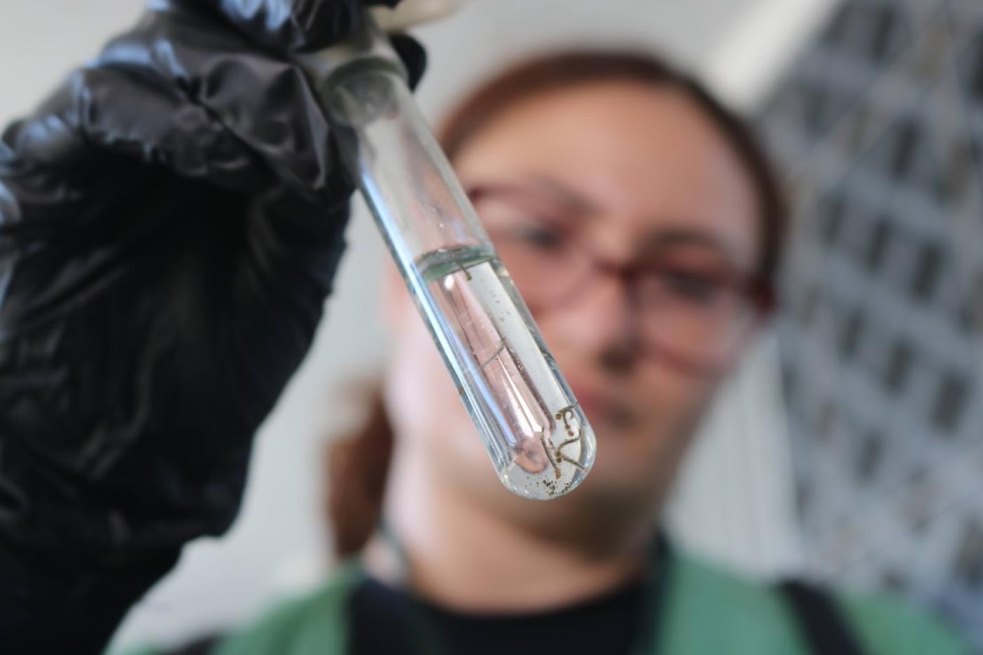 agente olha larva #paratodosverem