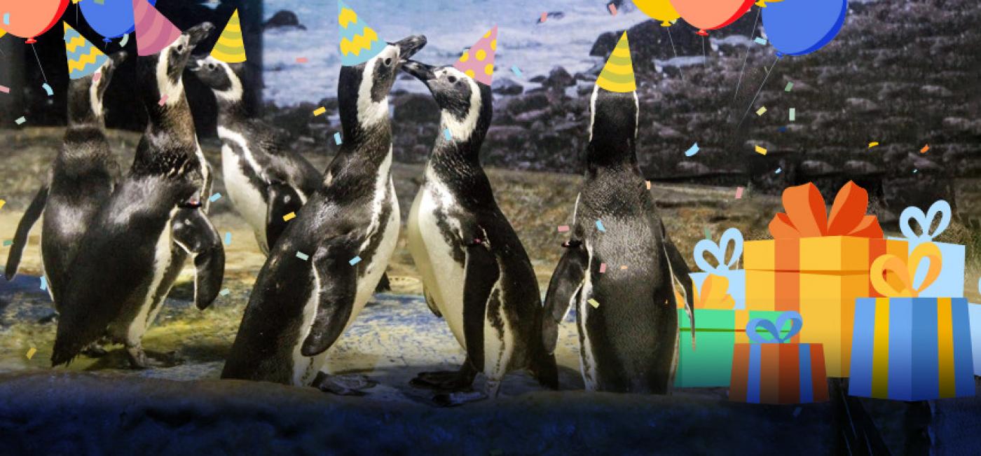 Foto de pinguins com arte. Eles usam chapéus de aniversário. Ao lado, há caixas de presentes. #Paratodosverem