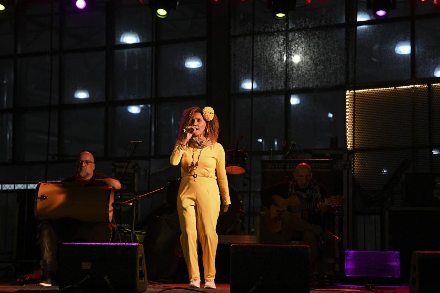 cantora didi gomes se apresenta no palco #paratodosverem