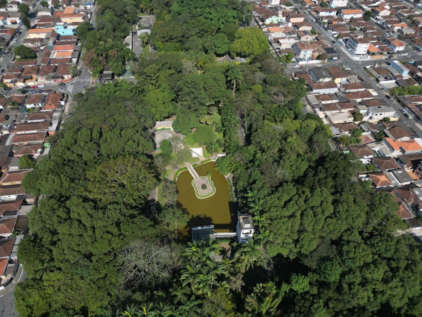 vista aérea de mass verde do jardim botânico. #paratodosverem