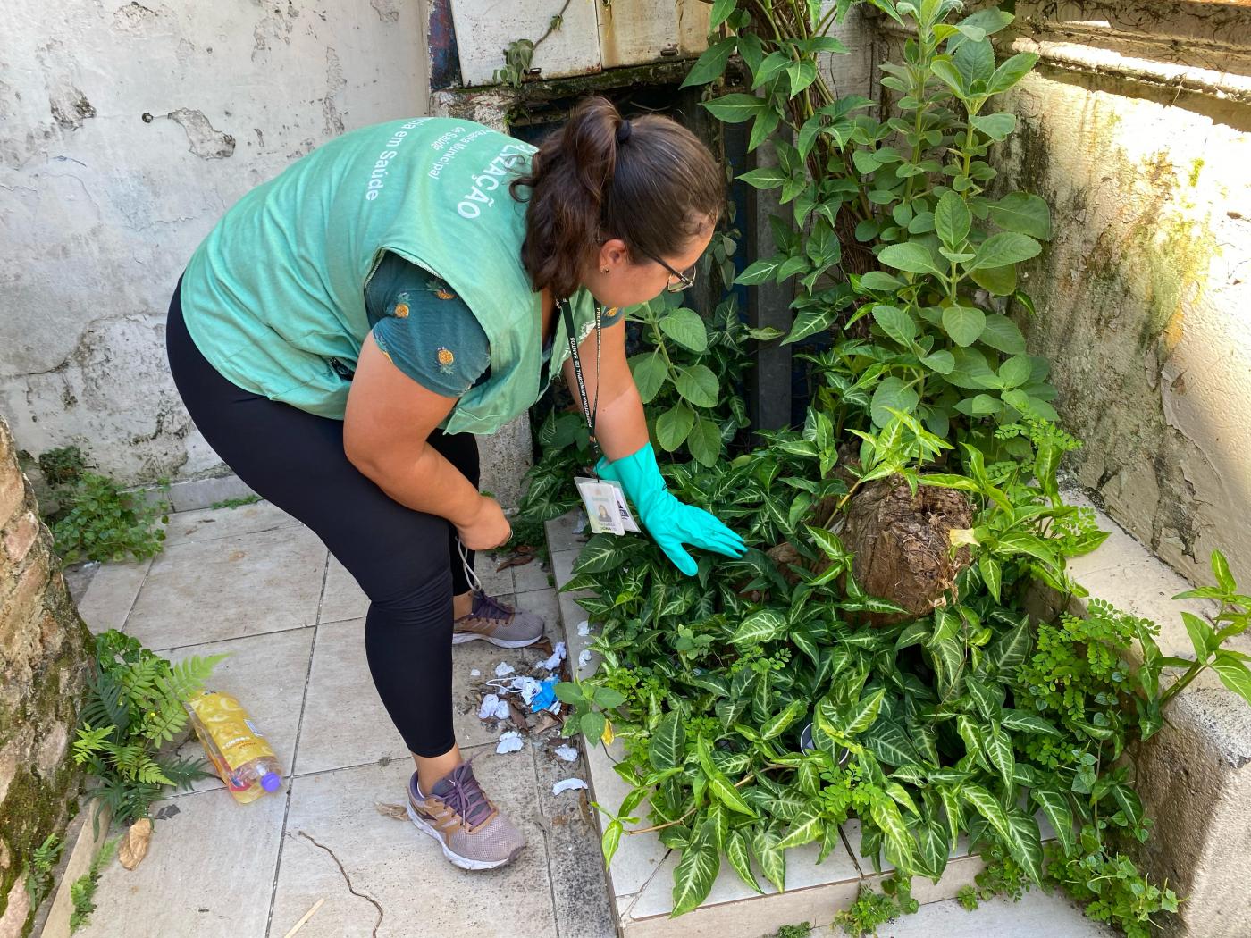 agente de combate à dengue uniformizada vistoria plantas de jardim. #paratodosverem