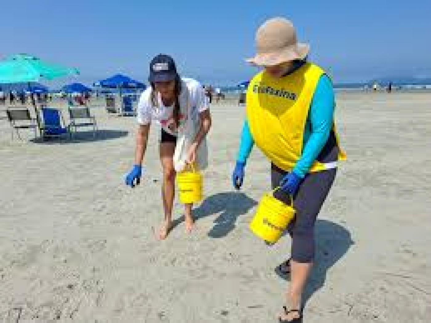 duas pessoas recolhendo lixo na praia #paratodosverem
