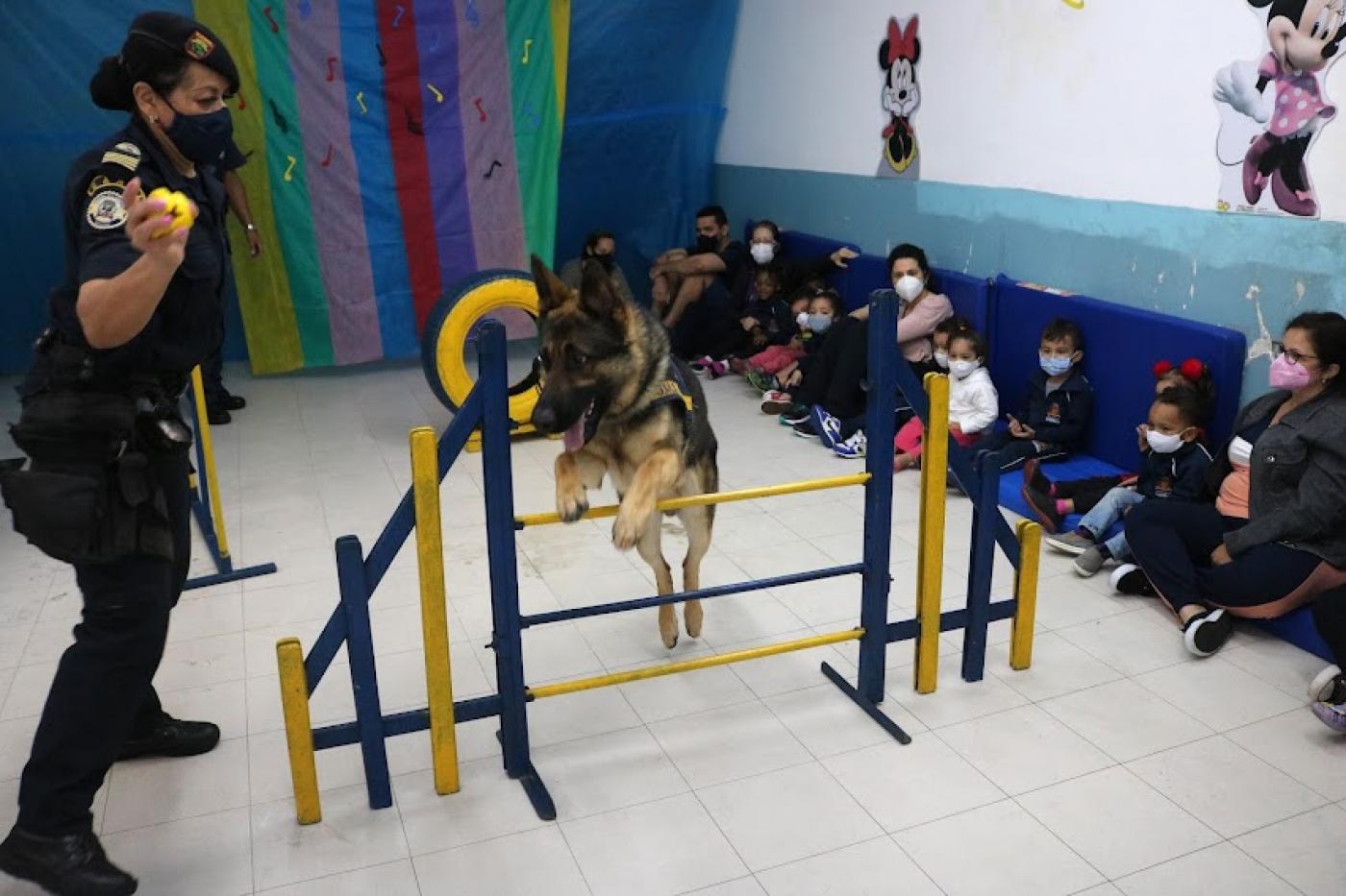 Cachorro realiza salto ao lado de guarda sendo visto por crianças sentadas #paratodosverem