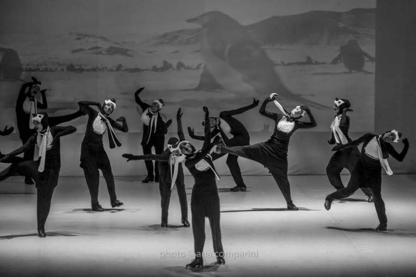 Balé apresenta coreografia. Bailarinas estão vestidas de pinguins em foto preta e branca. #paratodosverem 