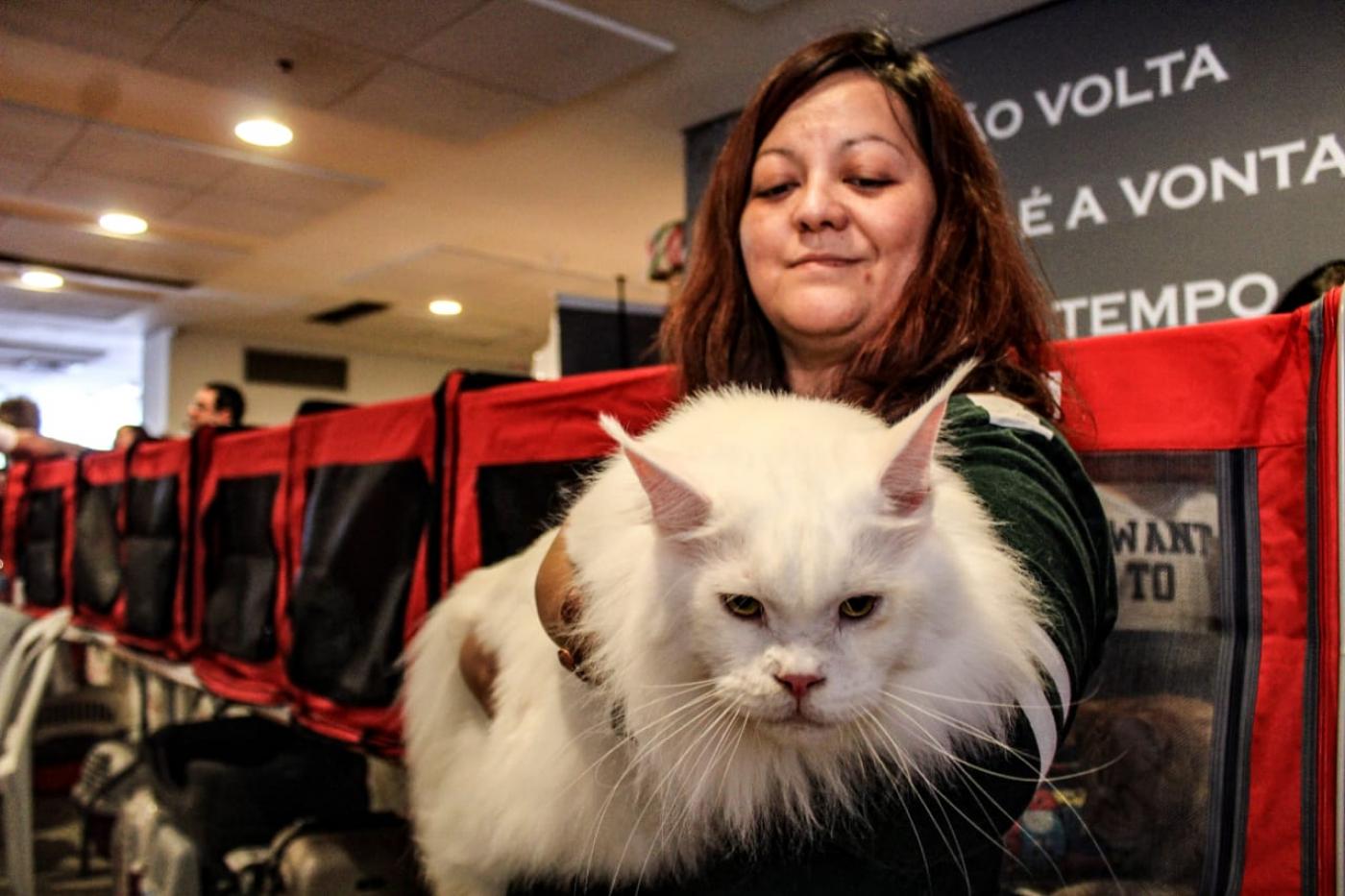 Mulher segura gato branco com cerca de um metro de comprimento. #Pracegover