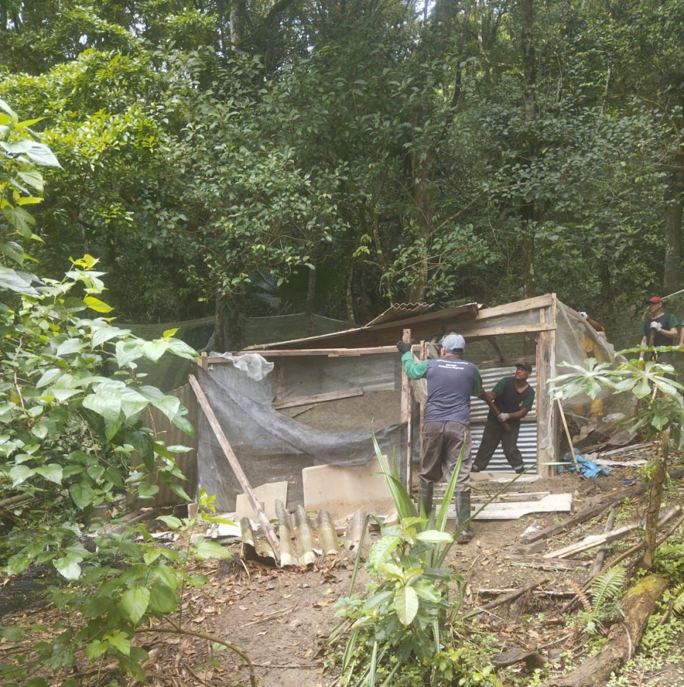 homens estão removendo cerca e materiais de uma construção em meio a uma área verde. #paratodosverem