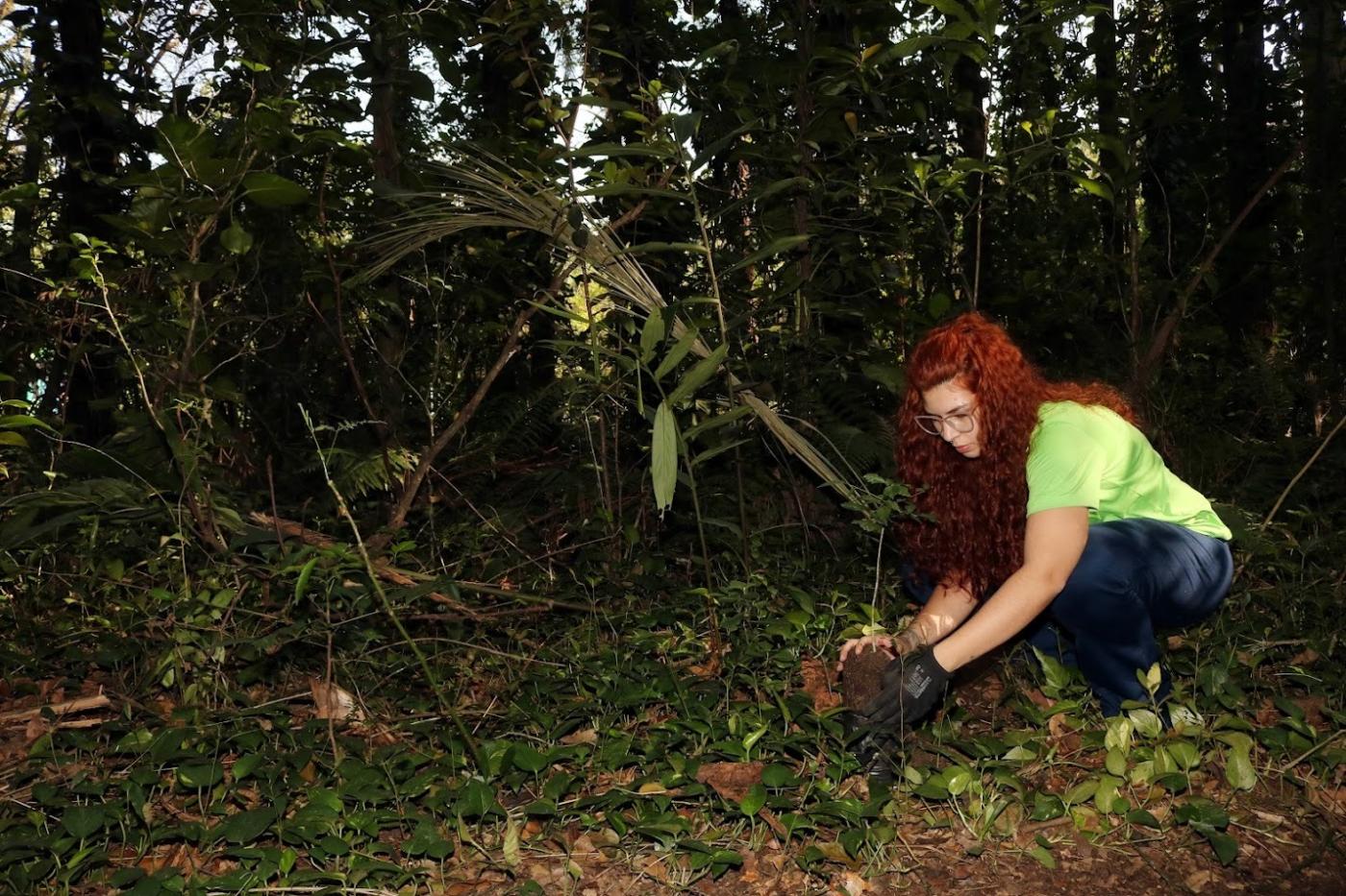 mulher planta árvore #paratodosverem