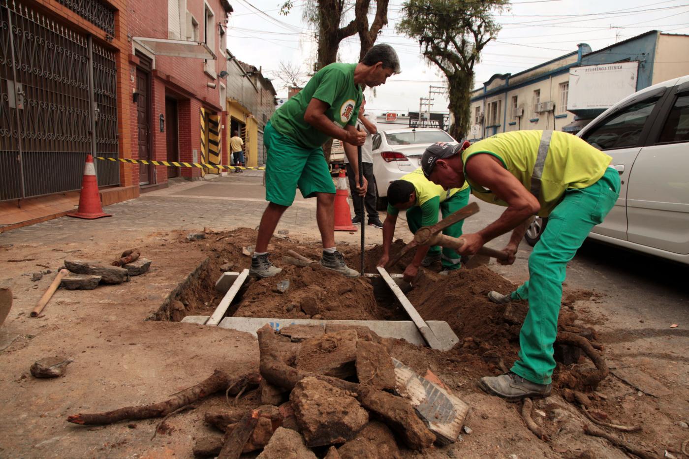 Homens instalam defletores em cova de árvore. #Pracegover