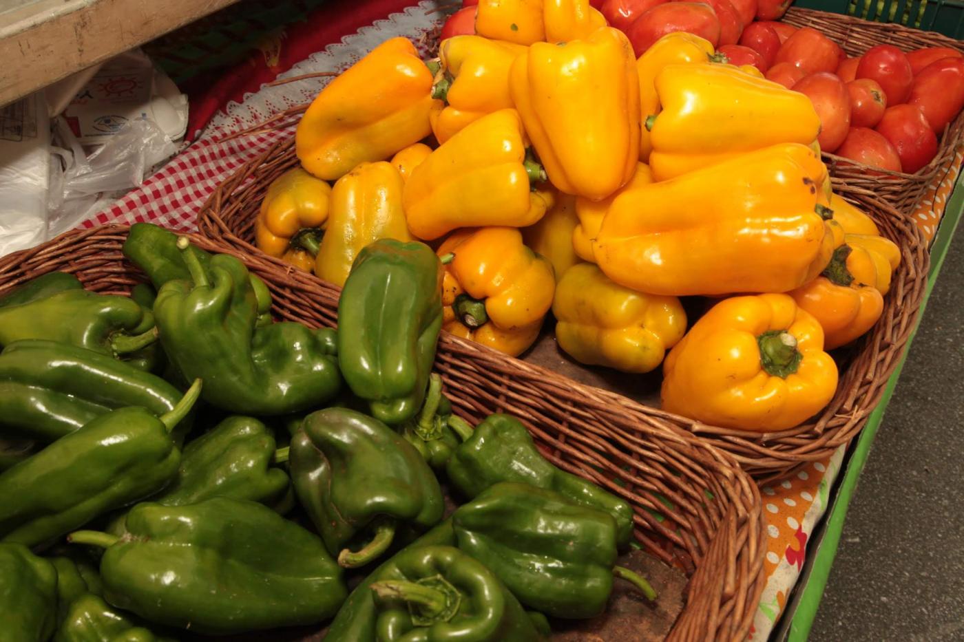 Pimentos distribuídos por cestos conforme a cor - verde, amarelo e vermelho. #Pracegover