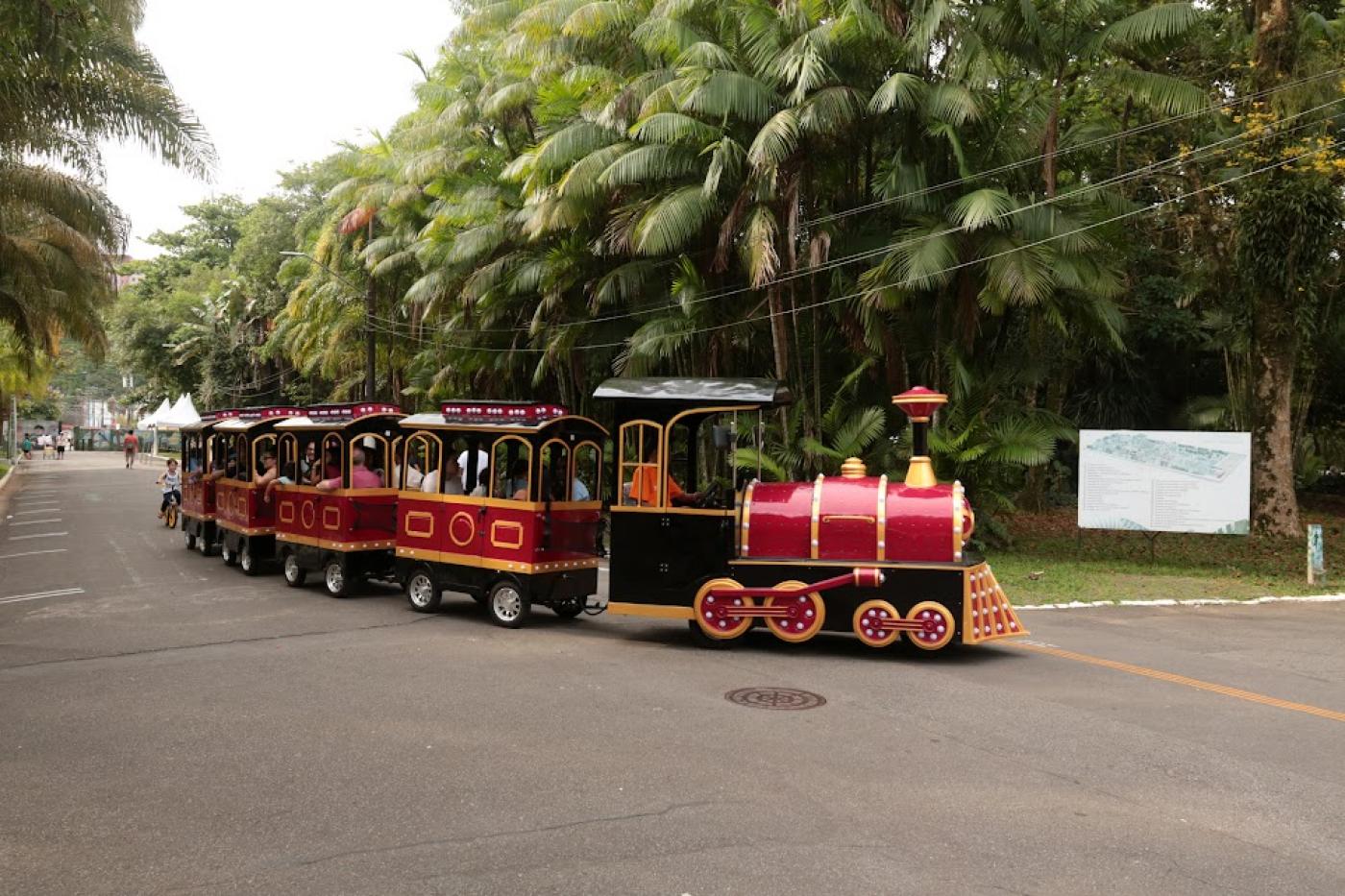 trem passa por jardim #paratodosverem