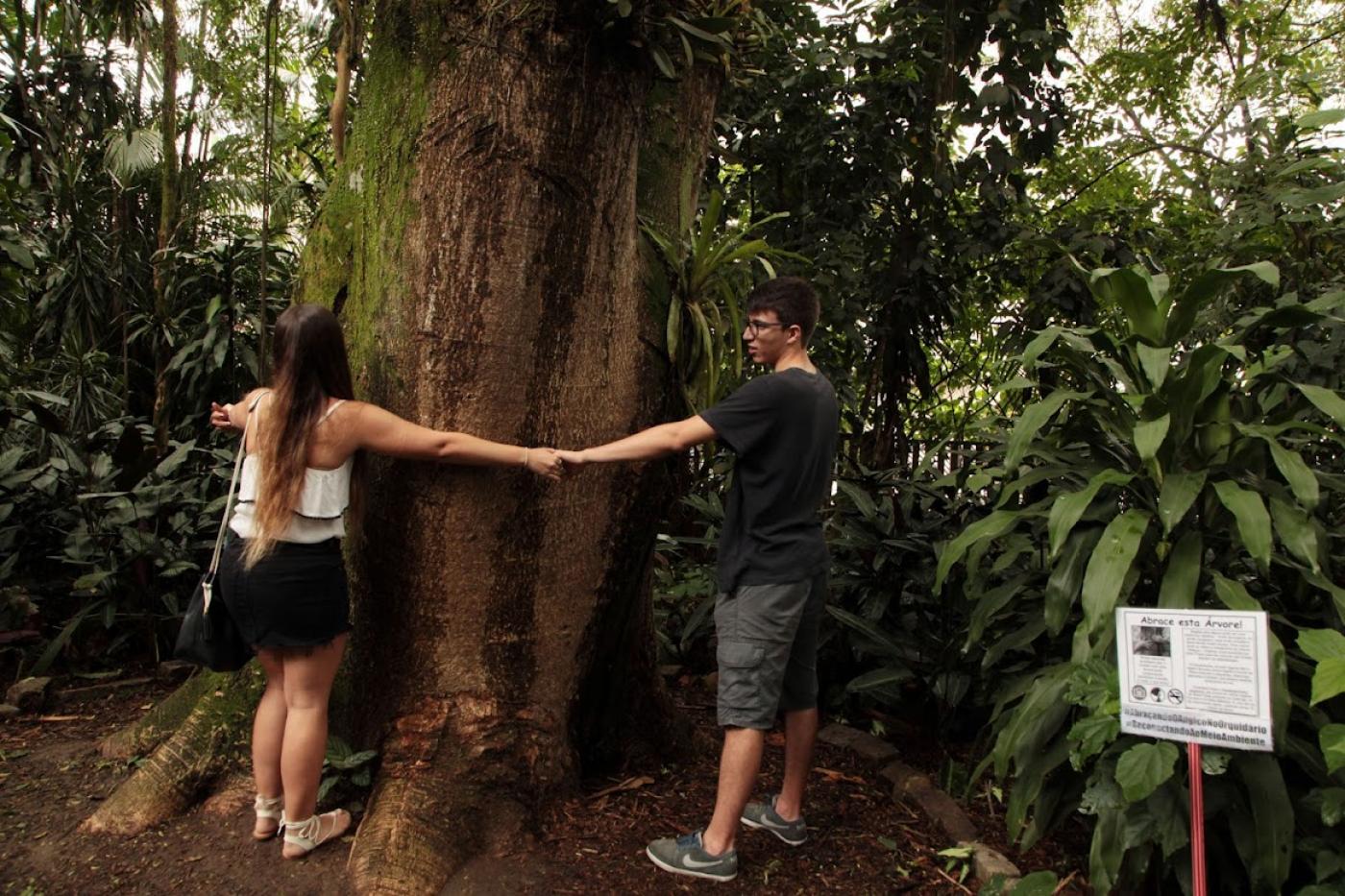 Duas pessoas abraçam árvore no Orquidário #paratodosverem