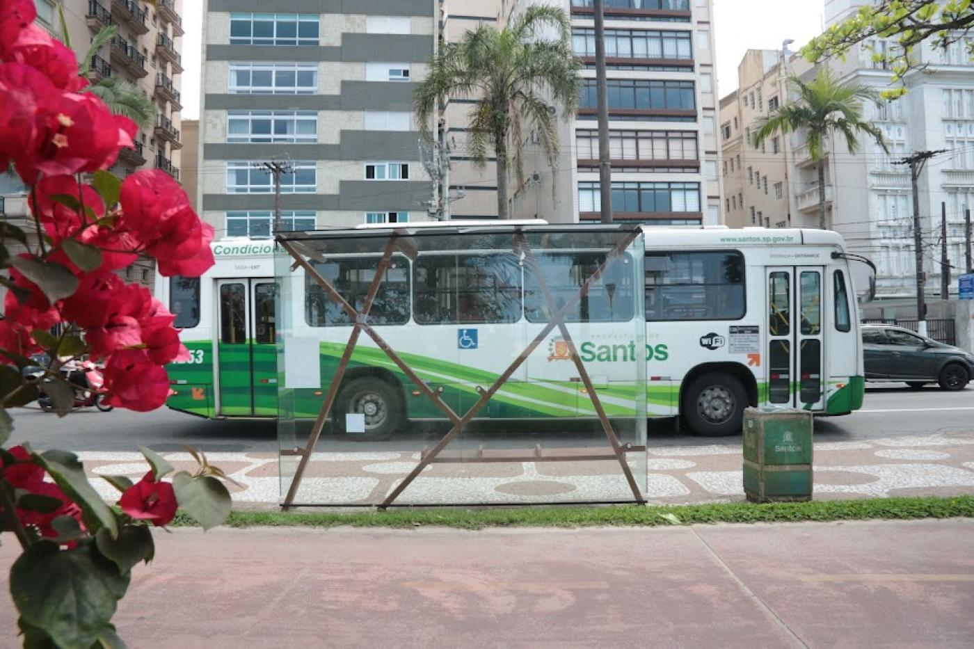 roseira vermelha no canto esquerdo em primeiro plano, com abrigo ao fundo. Sendo de vidro, é possível ver o ônibus que passa à frente na avenida. #paratodosverem 