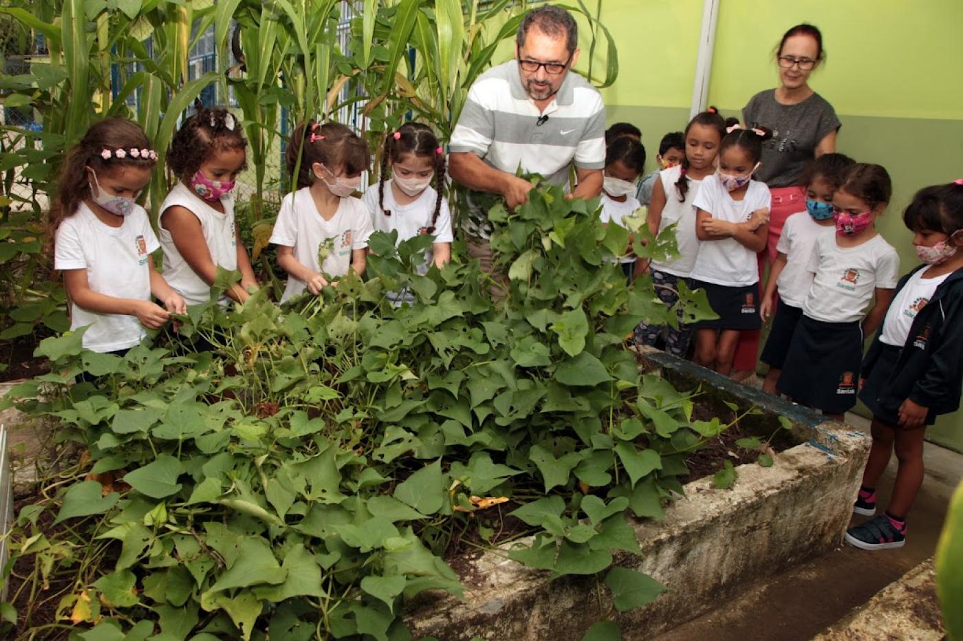 jardineiro mexe na horta e crianças observam #paratodosverem