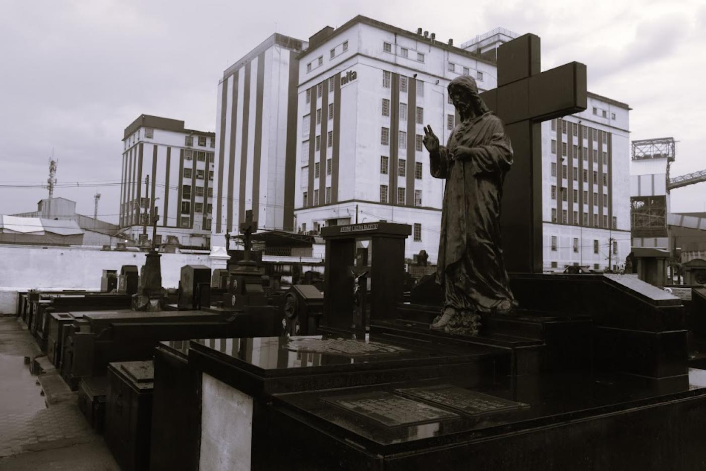 túmulos no cemitério do paquetá. #paratodosverem 