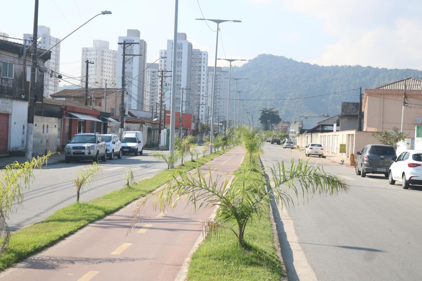 Avenida reurbanizada, com pistas dos dois lados, ciclovia ao centro, postes de iluminação e paisagismo. #paratodosverem