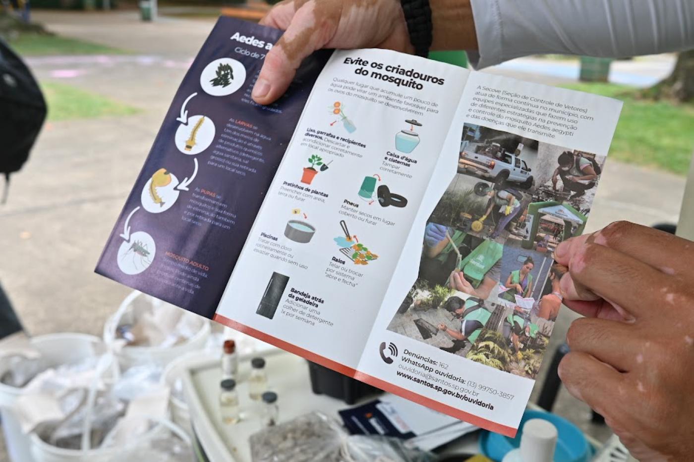 mão segura folheto educativo sobre aedes. #paratodosverem 