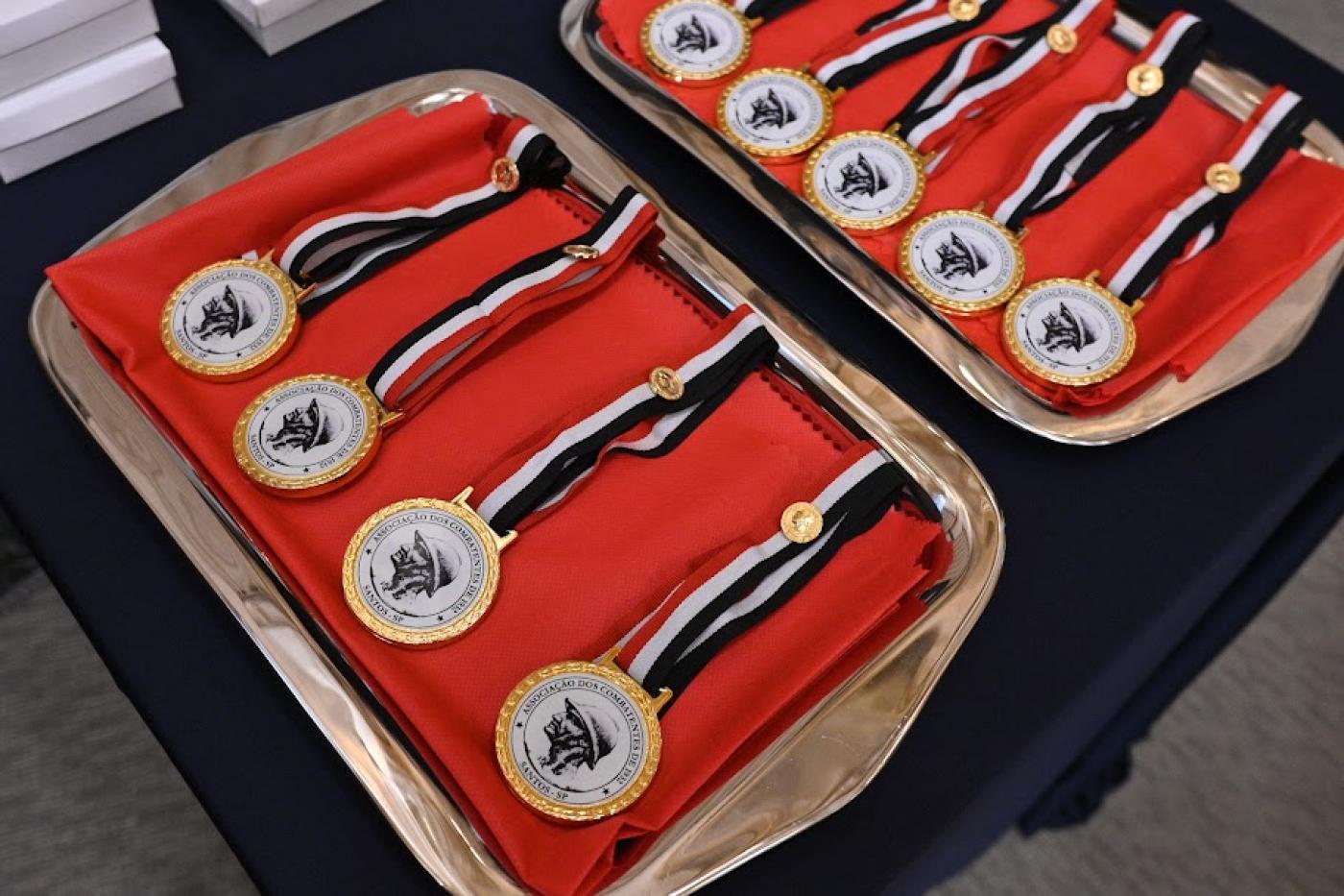medalhas para homenageados em valise #paratodosverem