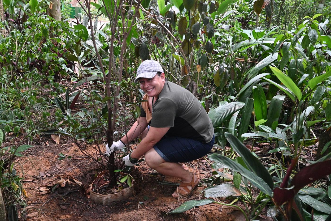mulher planta muda de árvore em jardim. #paratodosverem 