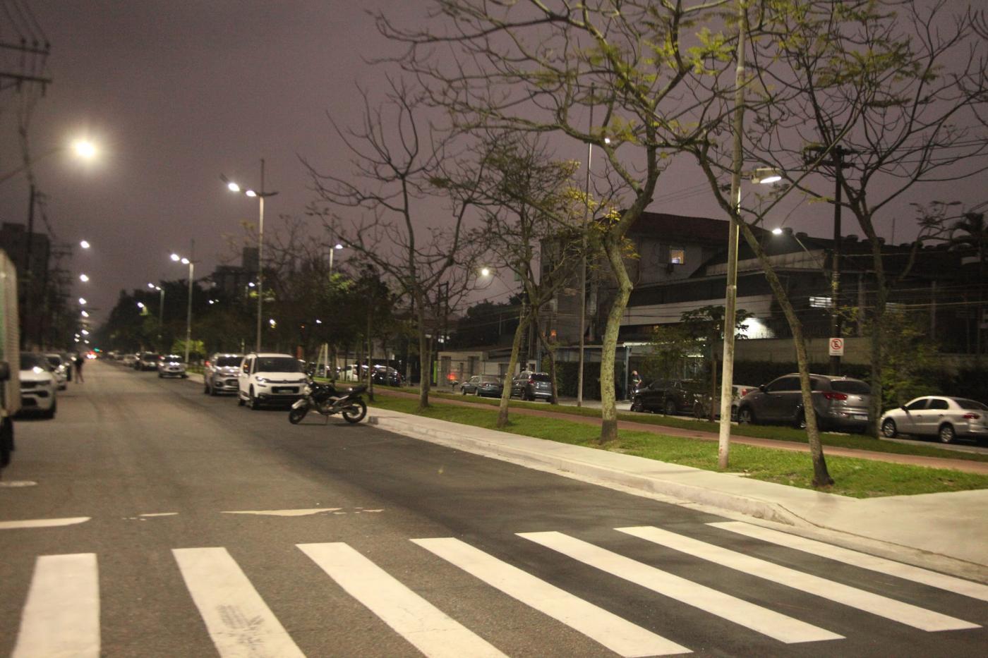 Avenida com faixa de pedestre em primeiro plano. Está vazia. É noite e luminárias nos postes estão acesas. #paratodosverem 