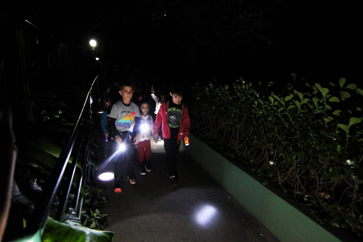 crianças caminham em alameda de parque iluminando área com lanternas nas mãos. #paratodosverem 