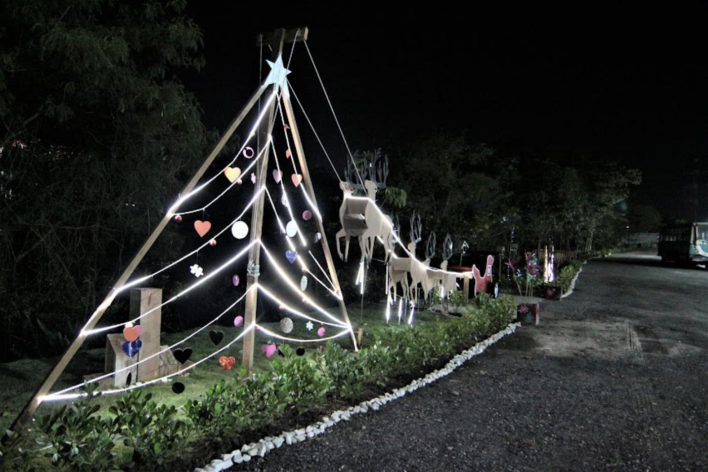 árvore de natal iluminada e trenó. #paratodosverem