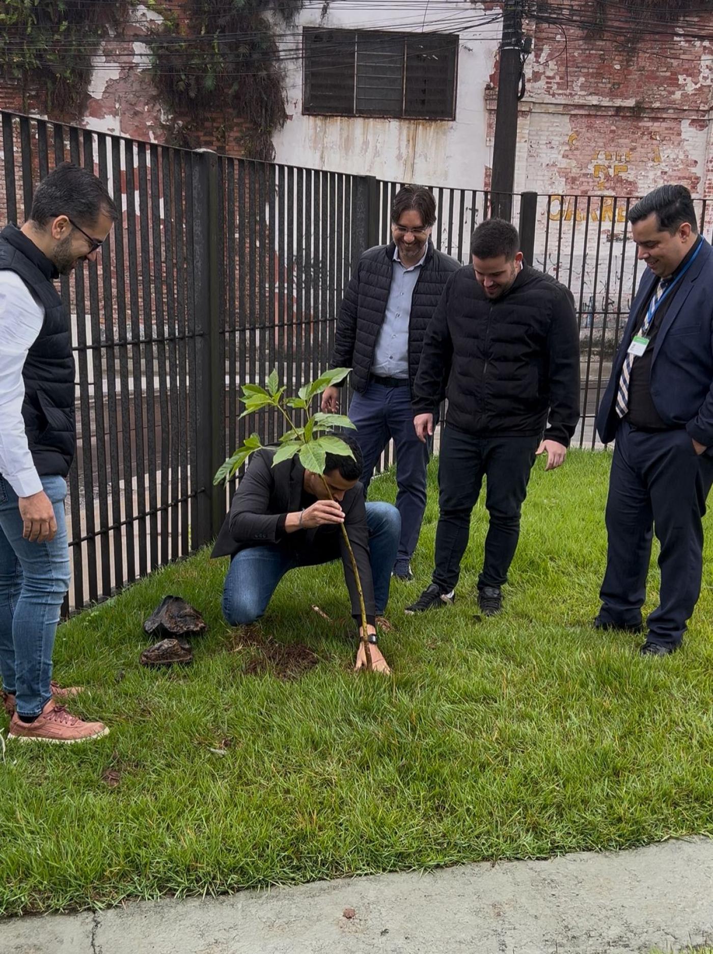 homens em torno de muda de árvore. #paratodosverem