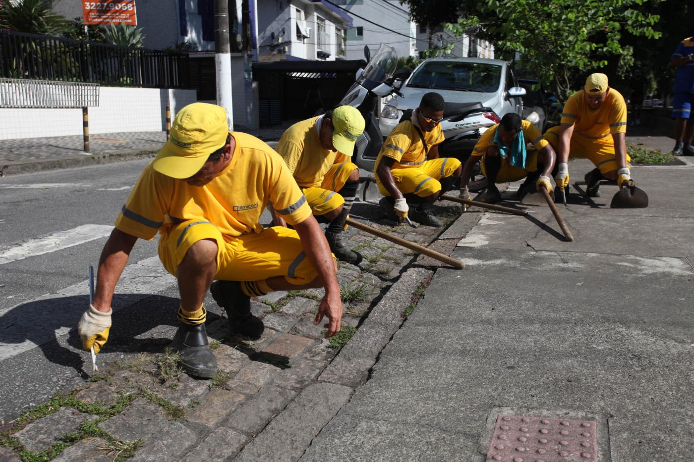 grupo de operários está ajoelhado capinando #pracegover 