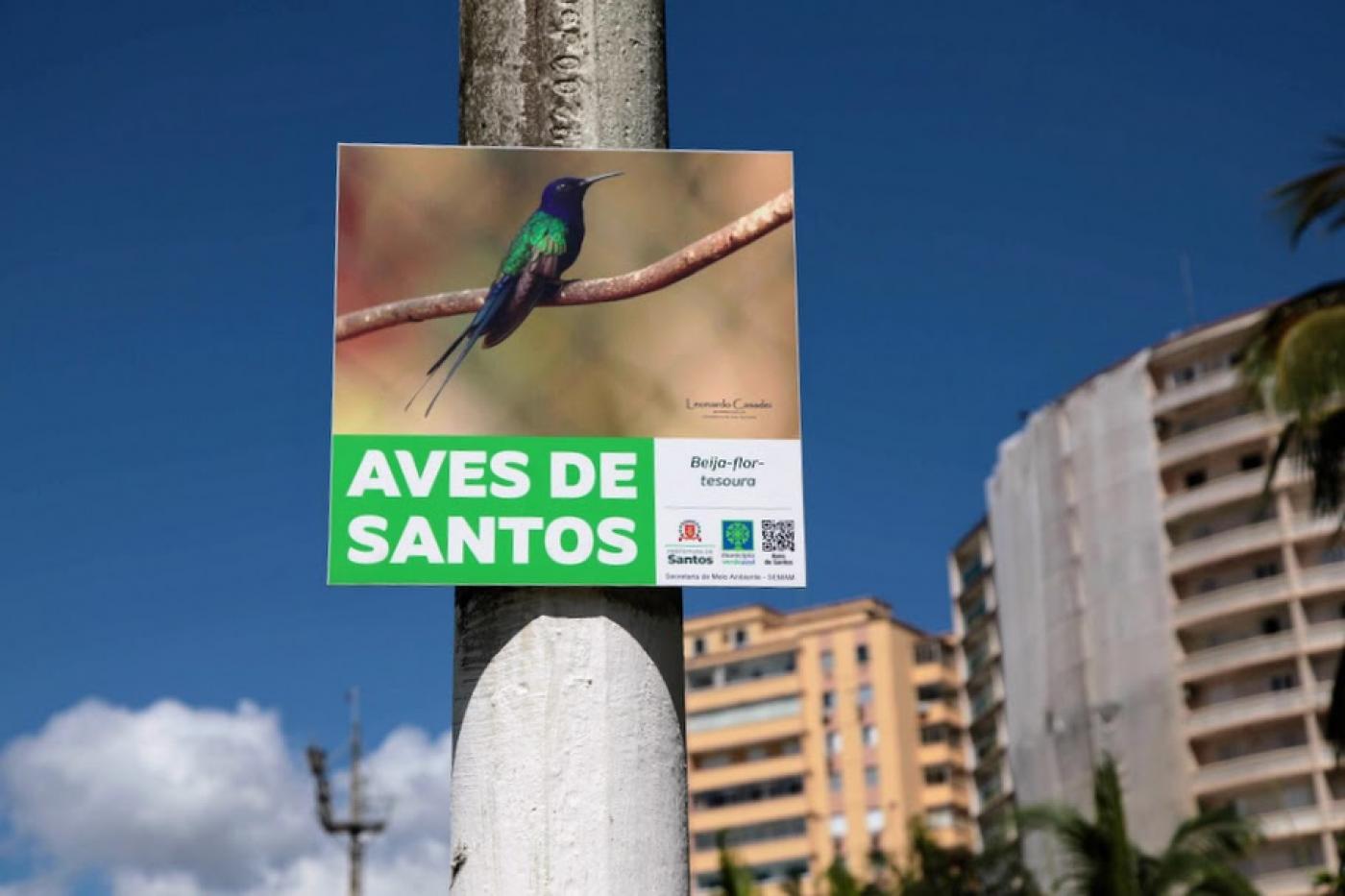 placa com foto de ave afixada em poste. Há prédios atrás. #paratodosverem 
