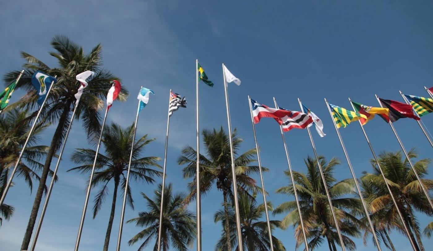 bandeiras do brasil, mercosul e estados brasileira hasteadas com palmeiras ao fundo. #paratodosverem 