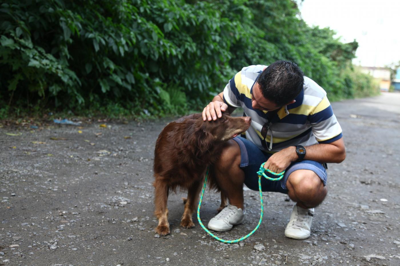 Cãe e homem estão em um parque. O homem está agachado à altura do animal e faz carinho em sua cabeça. O cão está com o rosto virado para o homem. #Pracegover