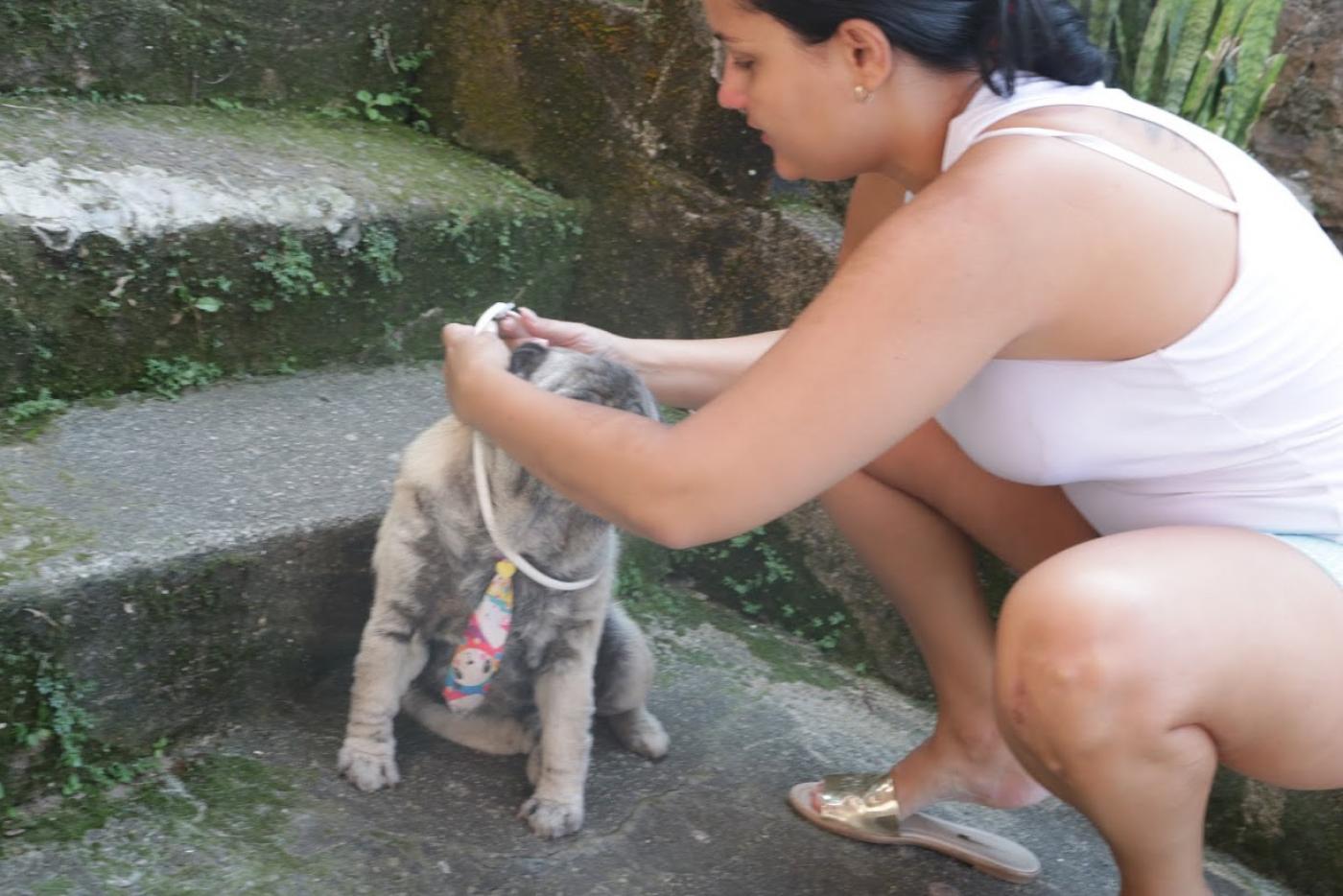 Mulher põe coleira em cachorro. #paratodosverem