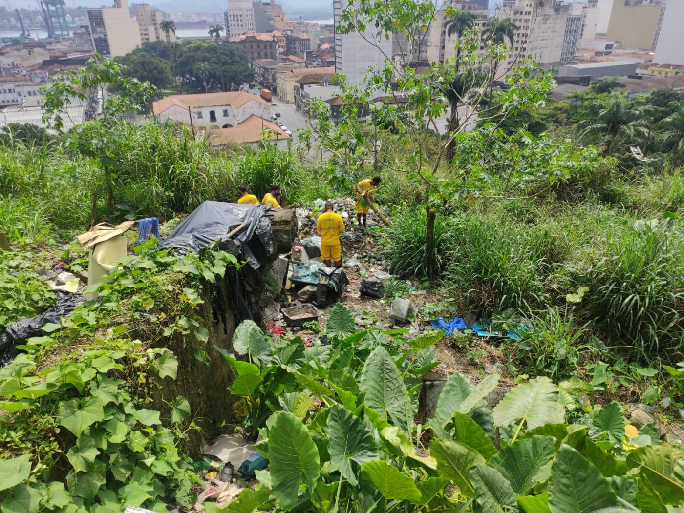 Homens realizam limpeza em meio a vegetação no morro #paratodosverem