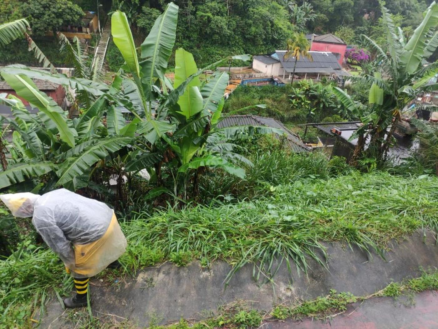 Homem realiza limpeza em encosta do morro com áreas verdes #paratodosverem