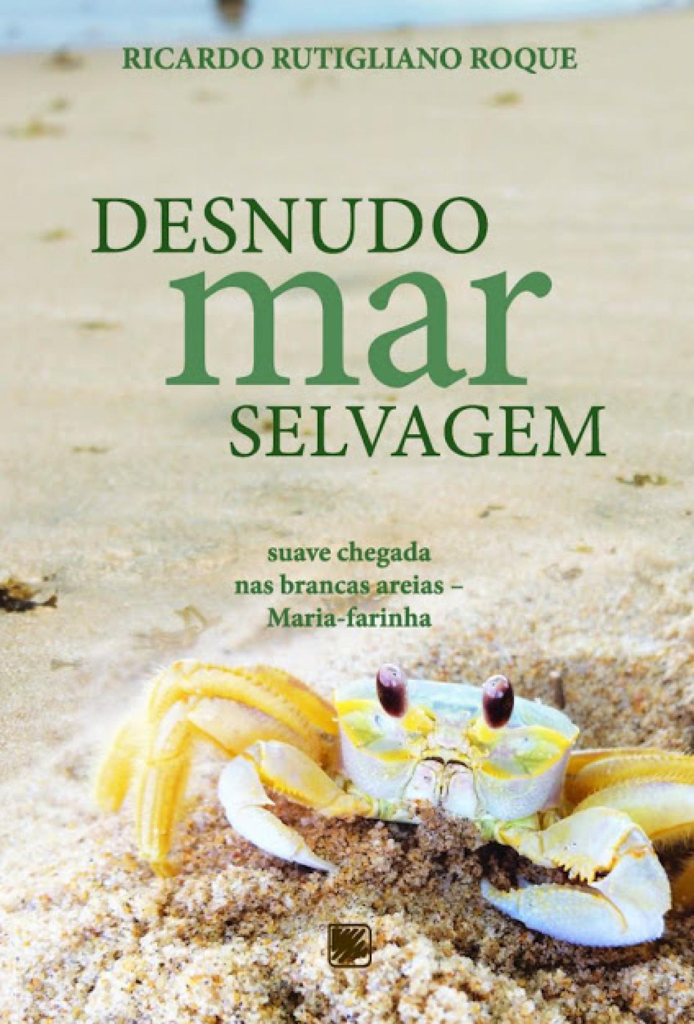 capa do livro #paratodosverem 