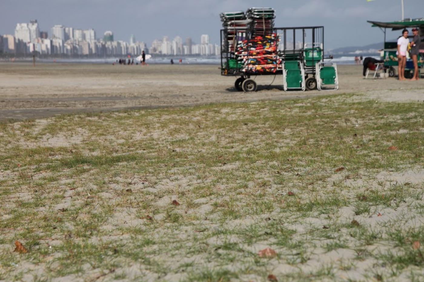 vegetação sobre a areia da praia. Ao fundo, um veículo com cadeiras de praia armazenadas. #paratodosverem 