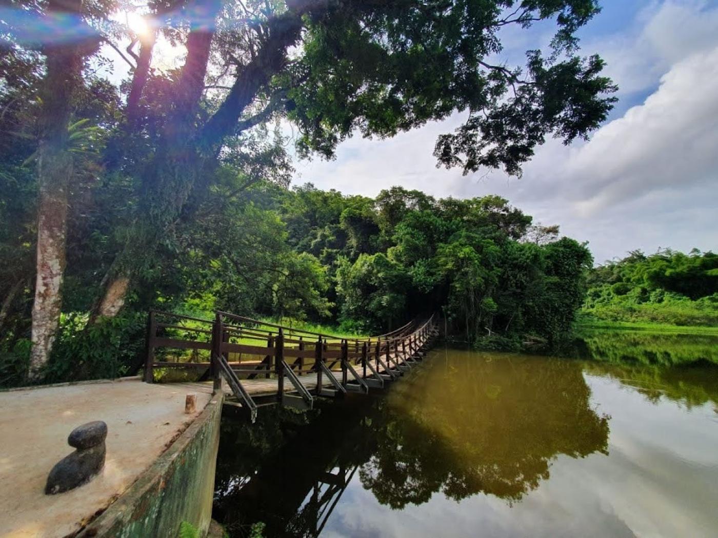 lagoa com vegetação ao fundo e pequena ponte para pedestres à esquerda. #paratodosverem