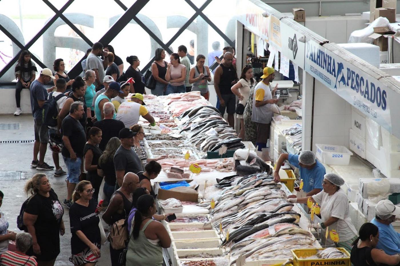 pessoas olhando peixe nos boxes do mercado #paratodosverem 