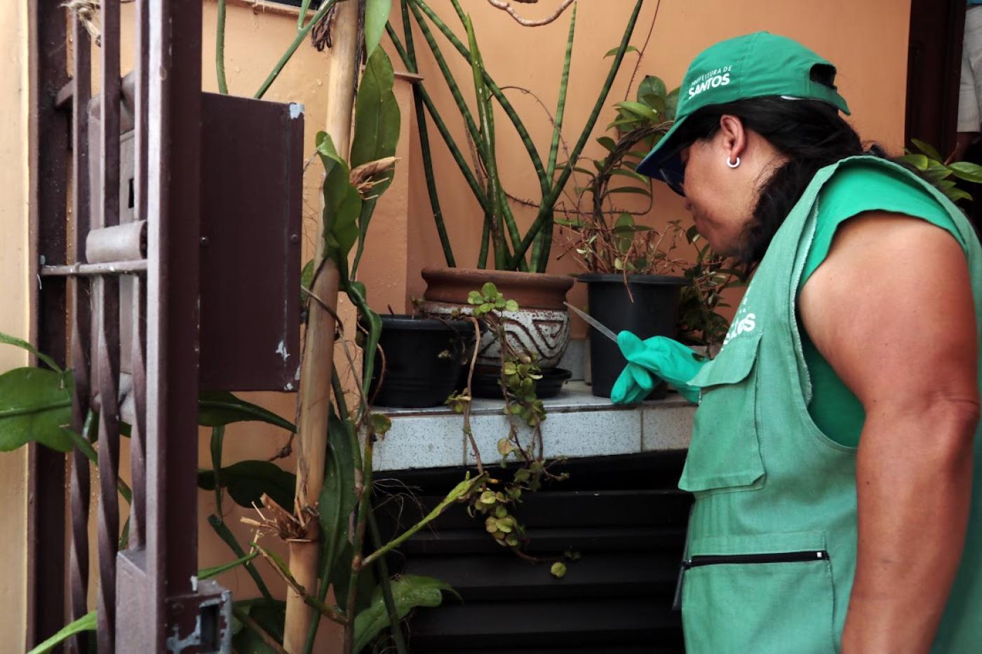 Agente olha vaso com plantas #paratodosverem 