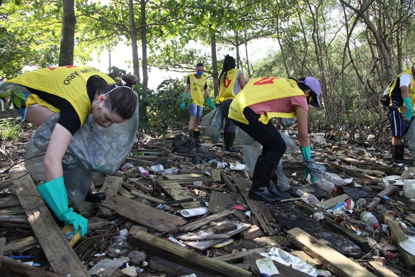 Pessoas uniformizadas estão em área de mangue coletando lixo do solo em meio à vegetação. #paratodosverem