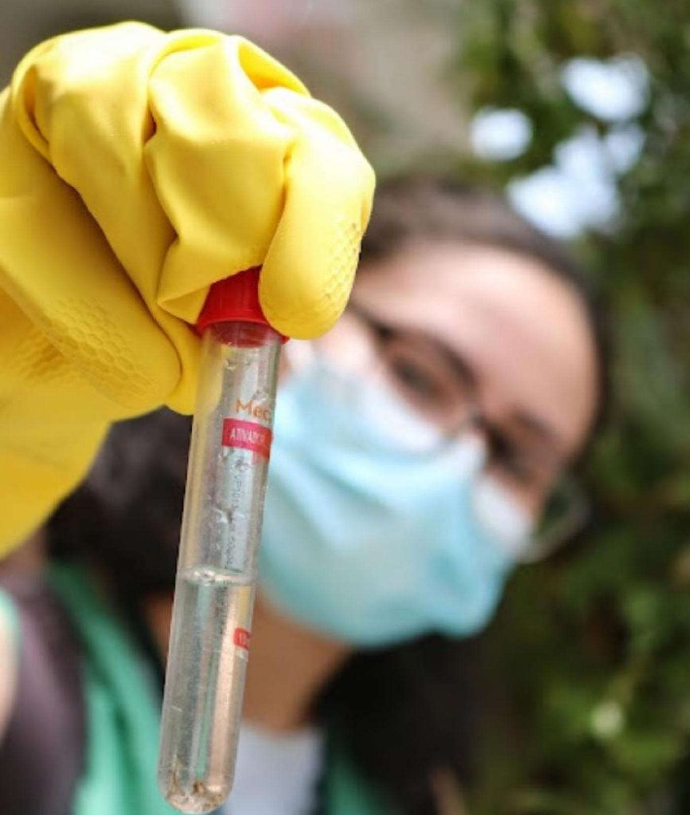 imagem em close com foco sobre tubo de ensaio com larvas de aedes. Mulher que segura tubo está fora de foco. #paratodosverem