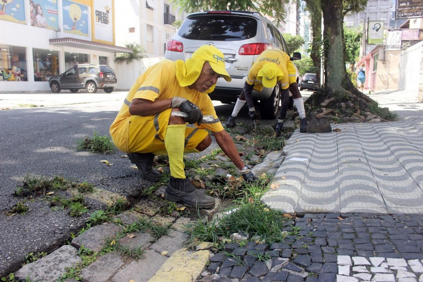 homens estão agachados junto ao meio-fio removendo mato que nasce no revestimento das calçadas.  #paratodosverem 