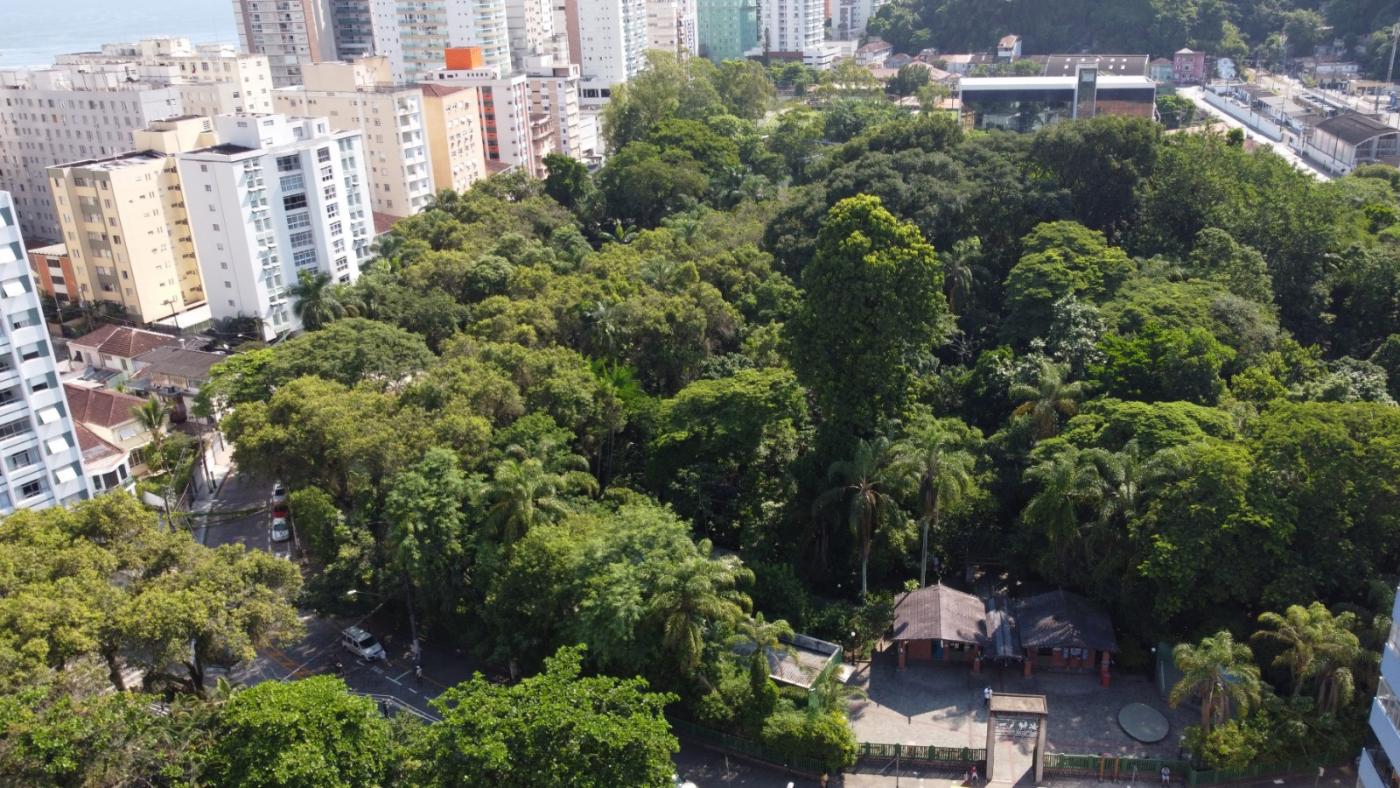 visão aérea do orquidário #paratodosverem