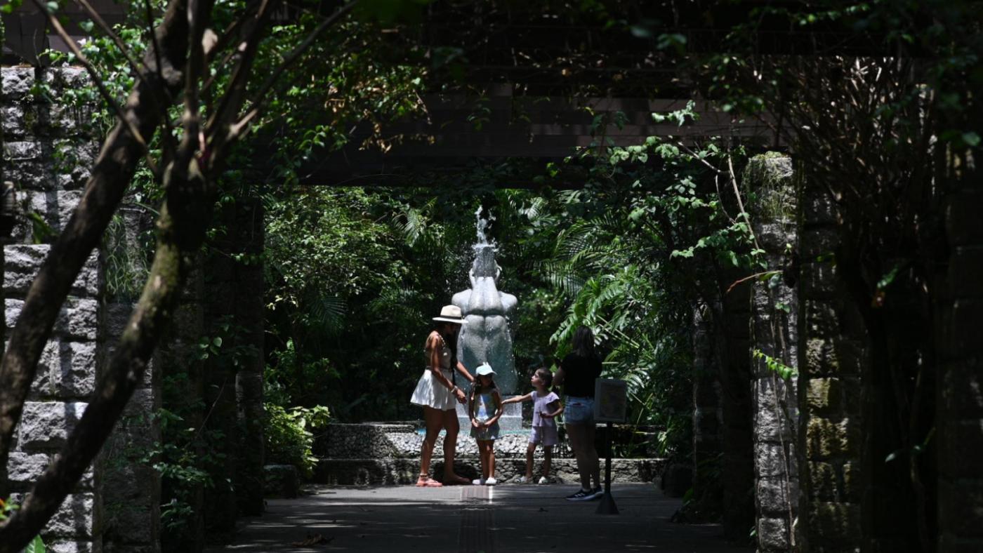 Vista do Orquidário Municipal. #Paratodosverem
