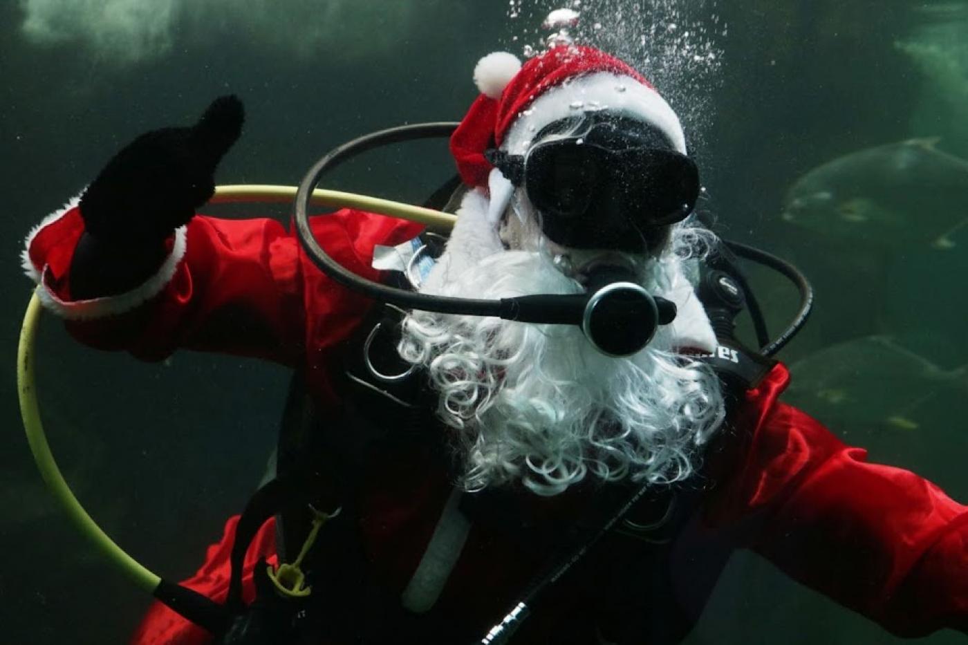 papai noel dentro da água com equipamento de mergulho #paratodosverem