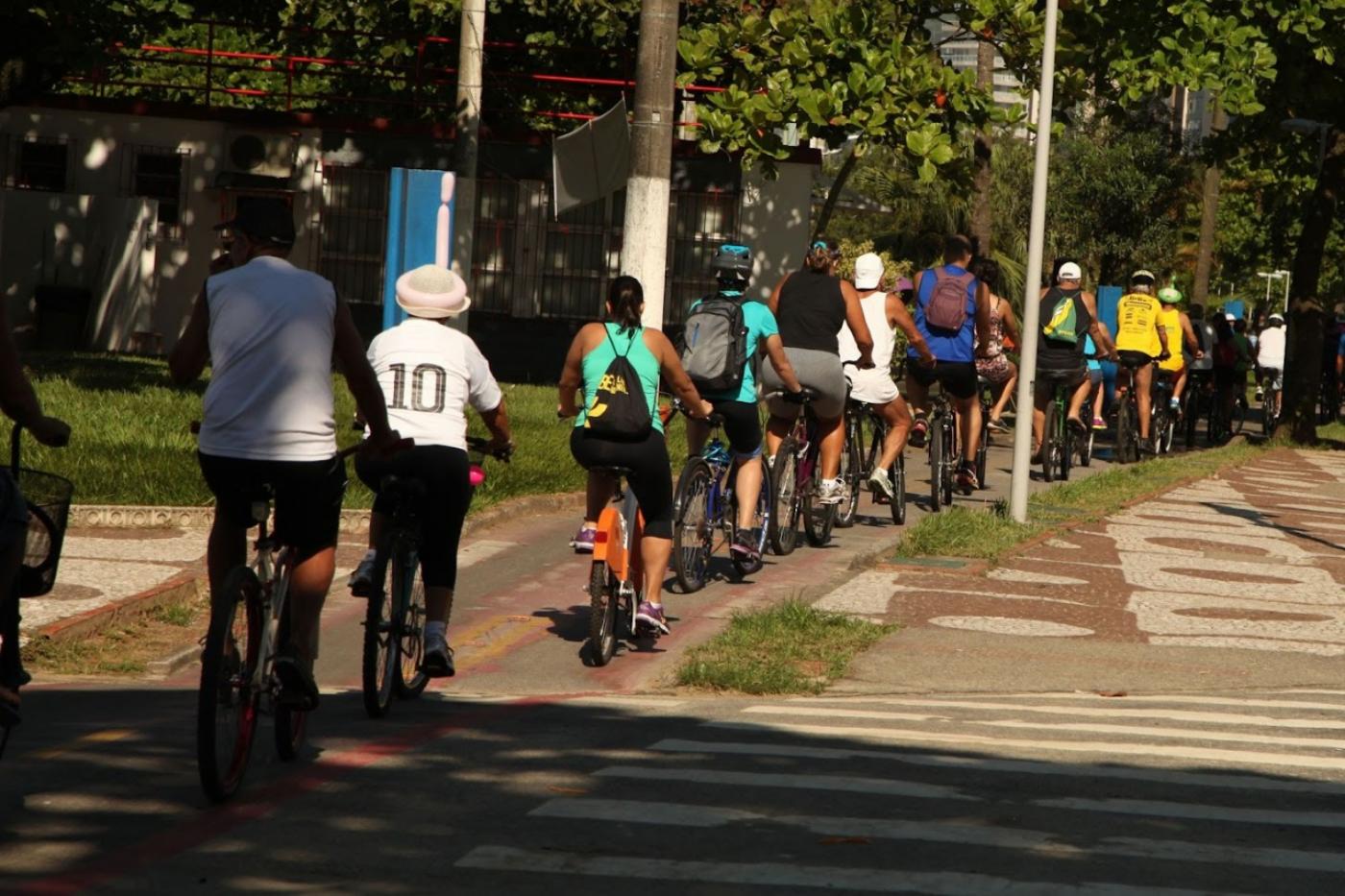 ciclistas na ciclovia. Todos estão de costas. #paratodosverem