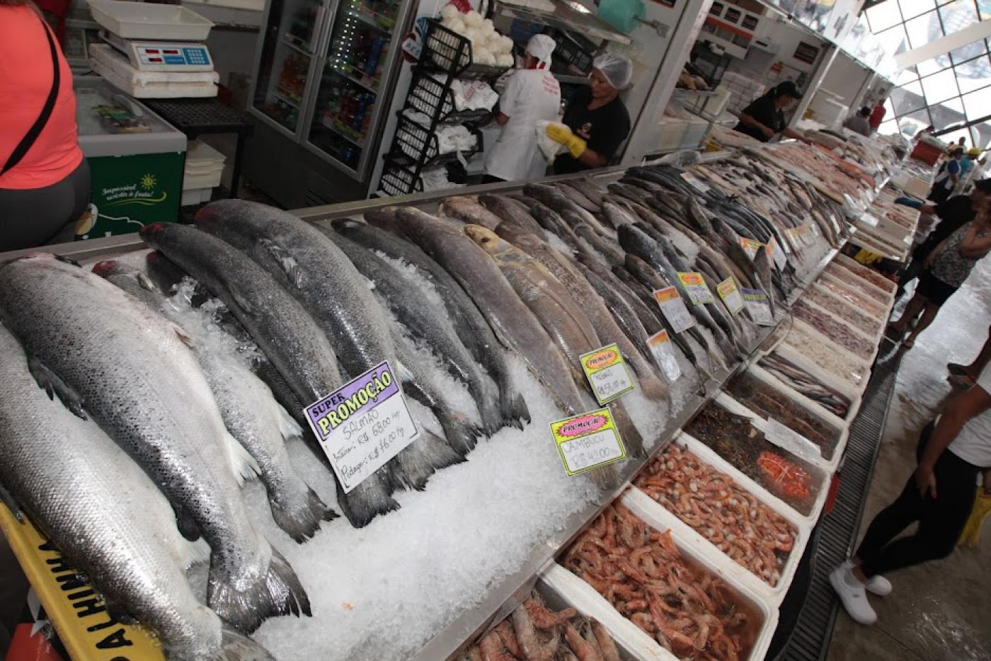 balcao com muitos peixes e camarões expostos. #praatodosverem