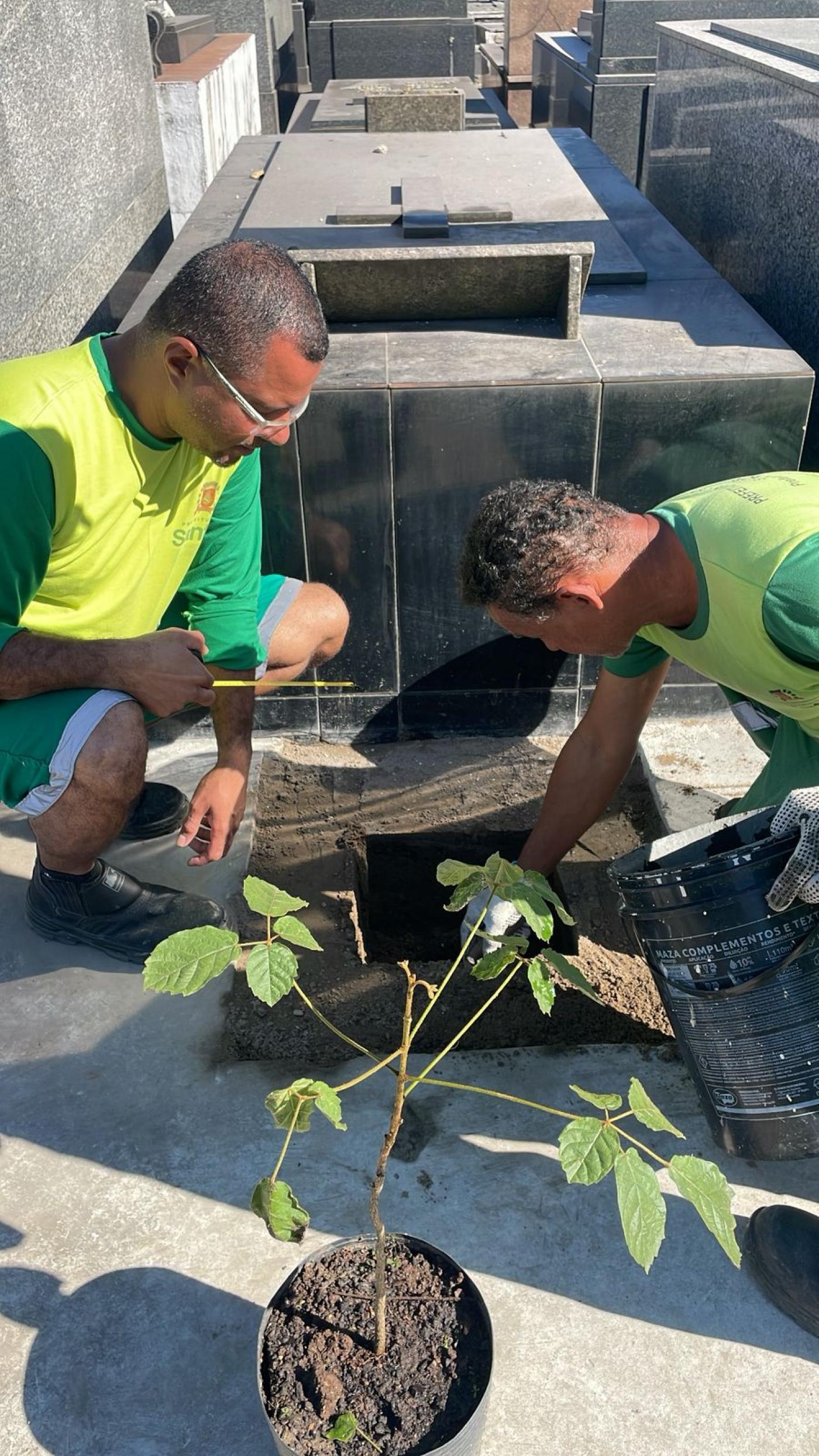 operários plantando árvores #paratodosverem 