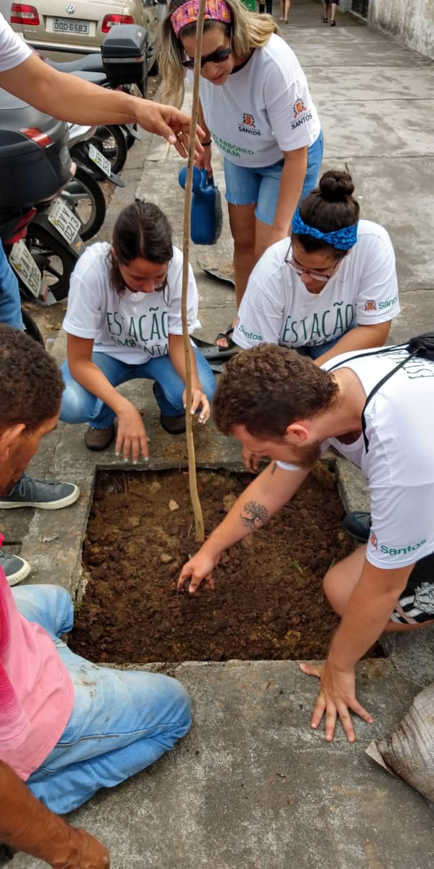 Grupo de pessoas está plantando uma muda em cova de rua. Algumas pessoas estão agachadas mexendo na terra. Outras estão em pé. #Paratodosverem