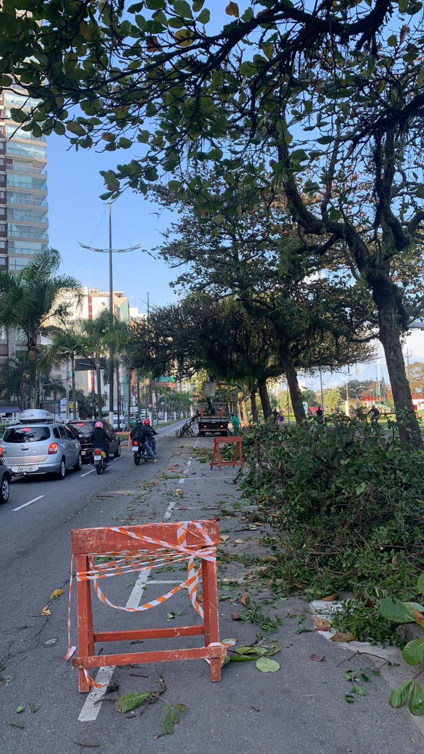 Galhos de árvore no chão em um canto da pista da praia. #paratodosverem